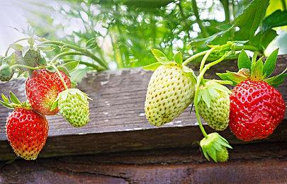 暴雪称一直在考虑将《魔兽世界》带到主机平台